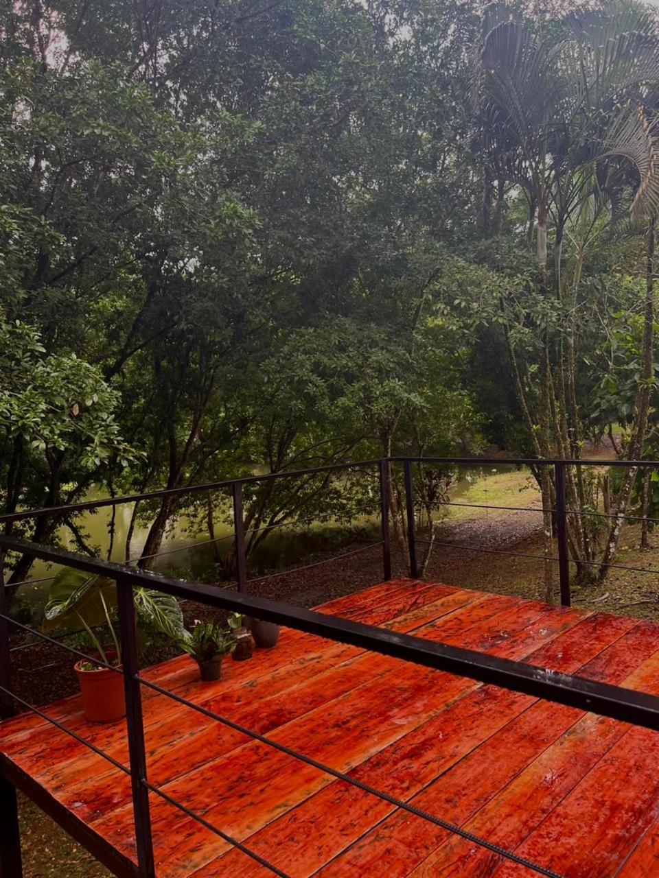 Ficus House Boca Tapada Exterior foto